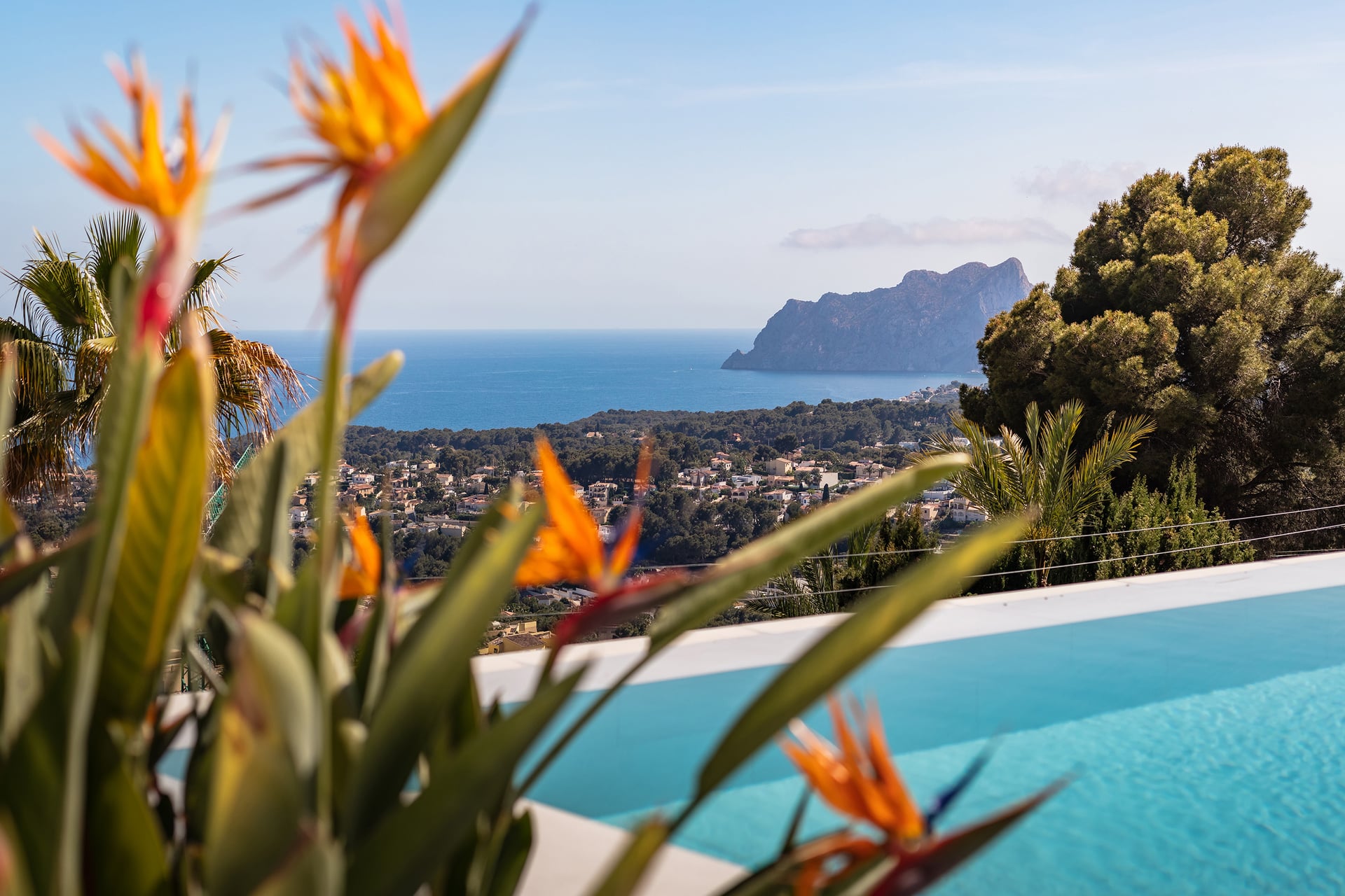 Villa Vivelsu infinity pool with Peñón de Ifach view and bird-of-paradise flowers